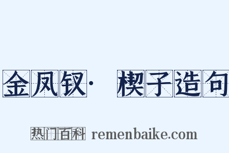 金凤钗·楔子造句是什么意思的图片